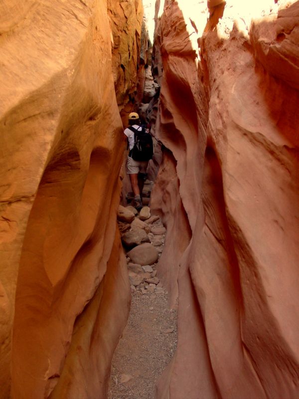 04160302LittleWildHorse (1054)